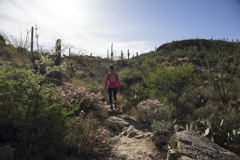 Challenge Yourself on the Black Mountain Trail
