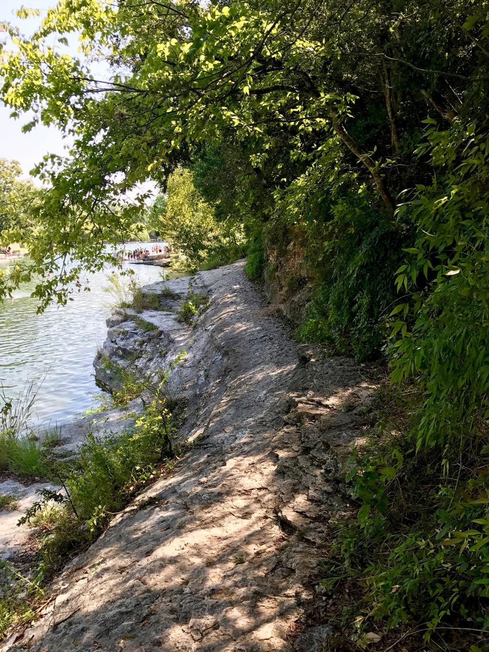 Cool Off and Relax at Barton Springs Pool