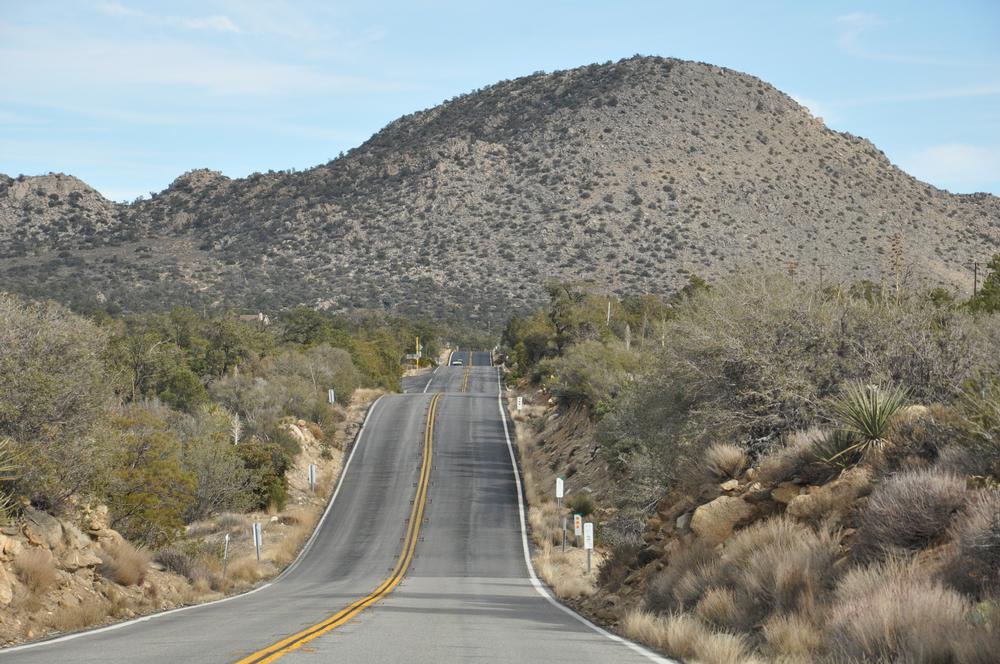 Cruise the Palms to Pines Scenic Byway and Watch the Desert Turn to Forest