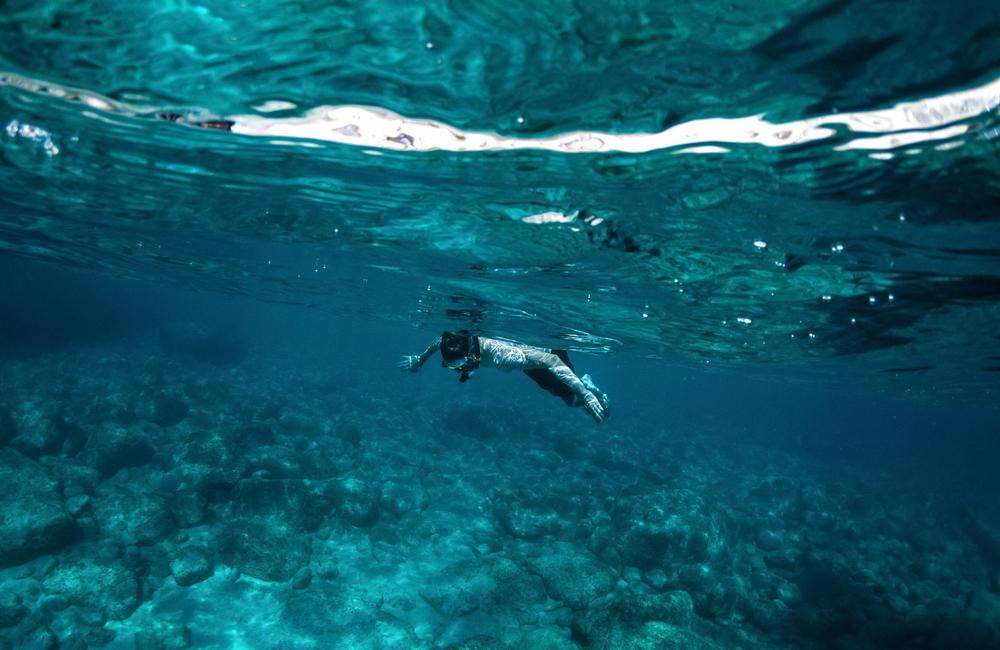 Dive Into the Deep at Blue Water Park