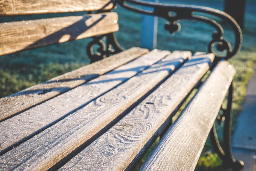 Enjoy Sports and Picnics at Lively Live Oak Park