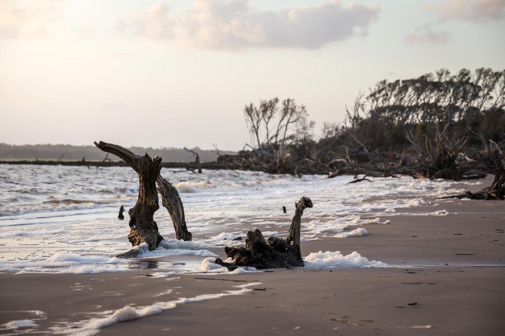 Escape to Untouched Nature at Amelia Island State Recreation Area