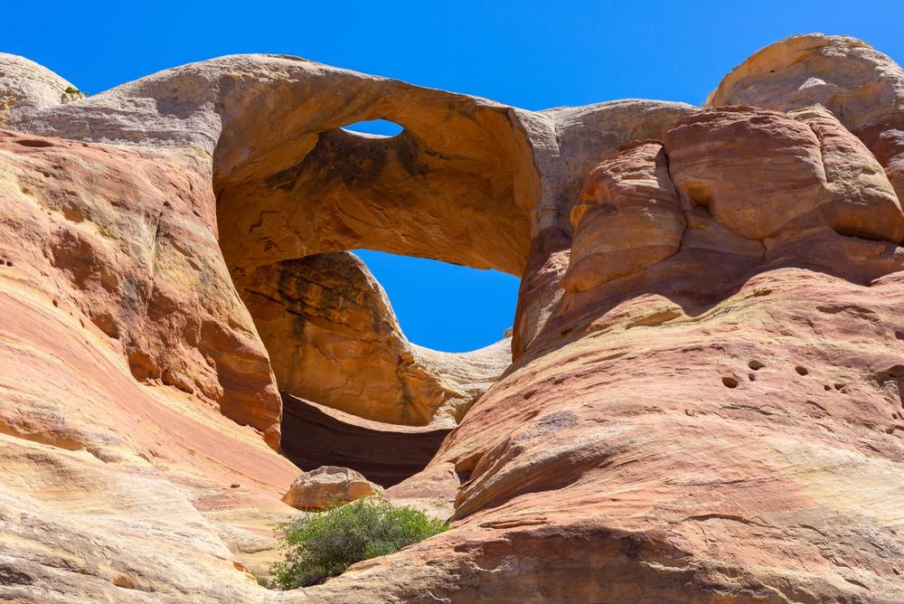 https://stock.adobe.com/gr_en/images/bridge-arch-at-rattlesnake-canyon-in-mcinnis-canyons-national-conservation-area-colorado-state-usa/215612625