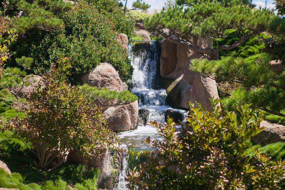 Explore the L.A. County Arboretum and Botanic Garden