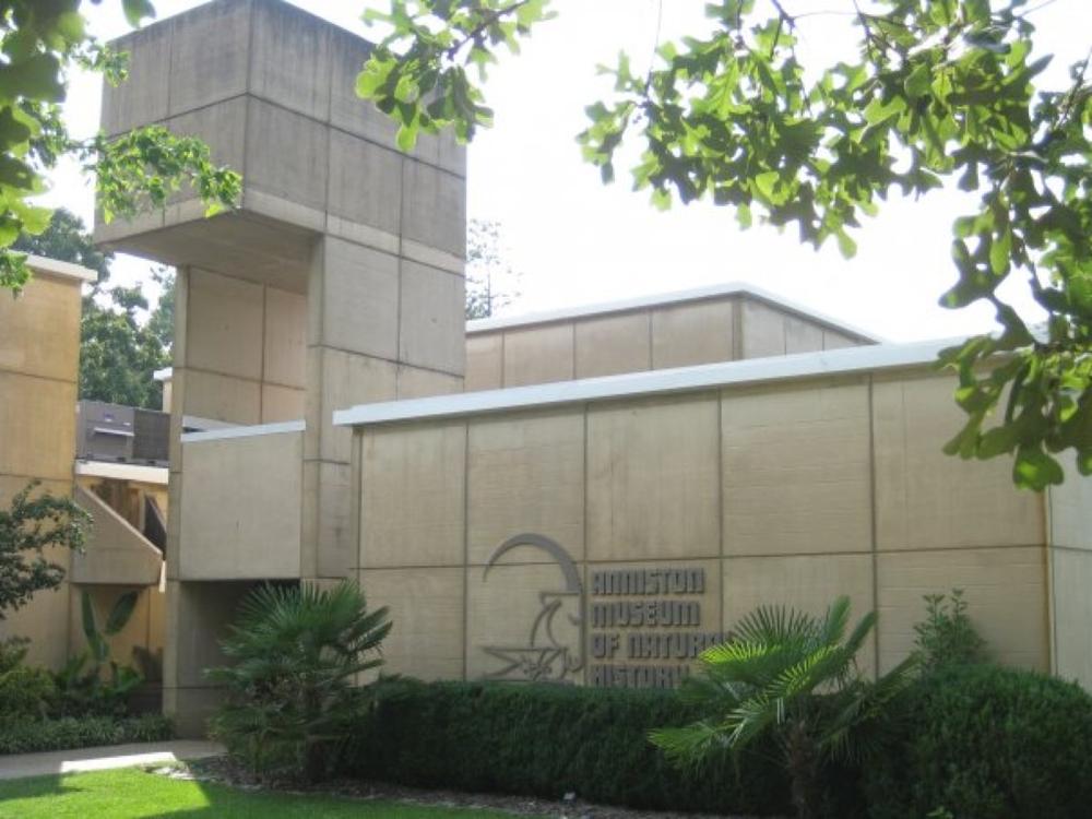 Walk through lifelike exhibits and see fascinating sights on an educational outing.