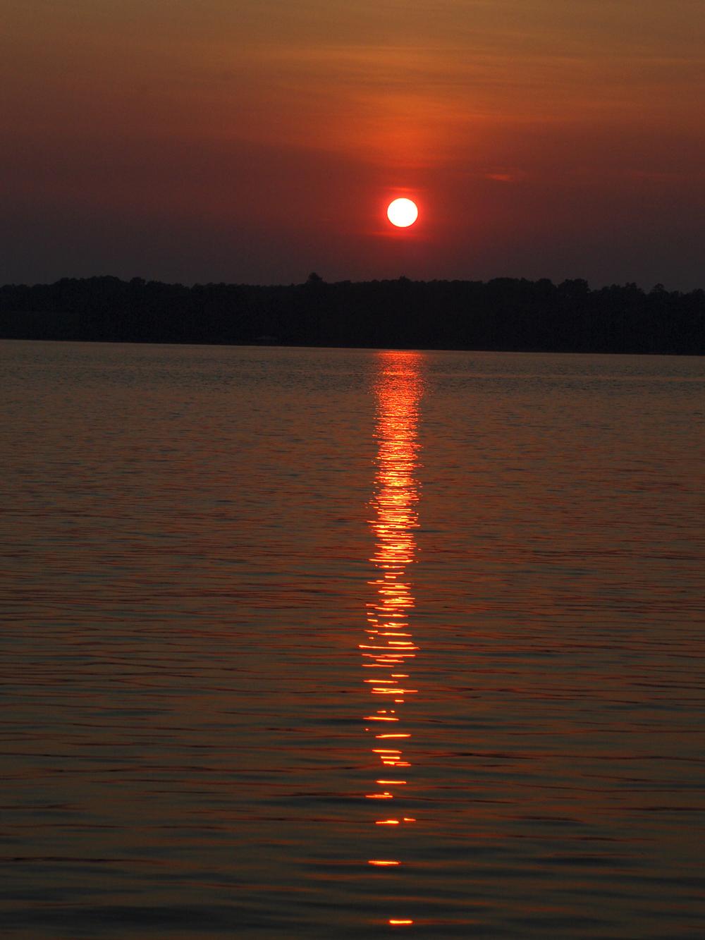 Fish, Swim, and Boat Through Endless Adventures at Lake Hartwell