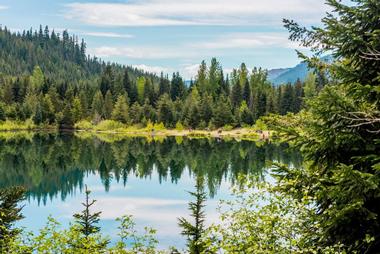 Go for a walk to Gold Creek Pond