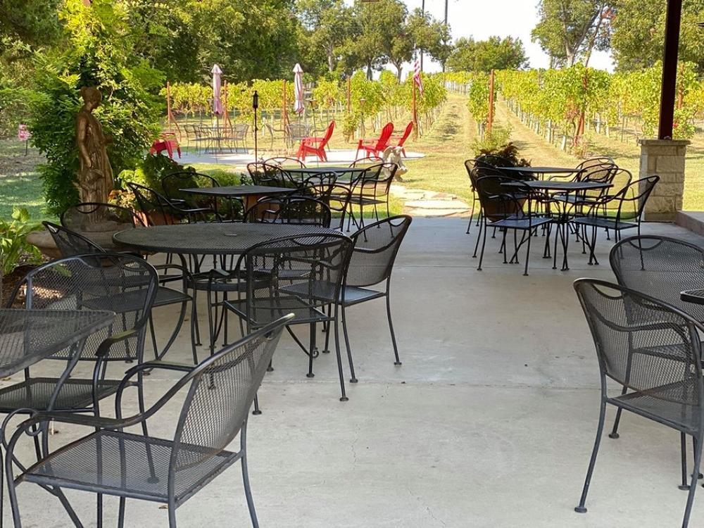 Go wine tasting at San Martino Winery