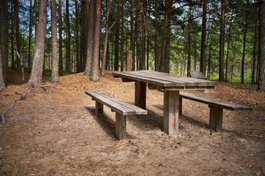 Have a picnic at the Red Rocks Group Campground