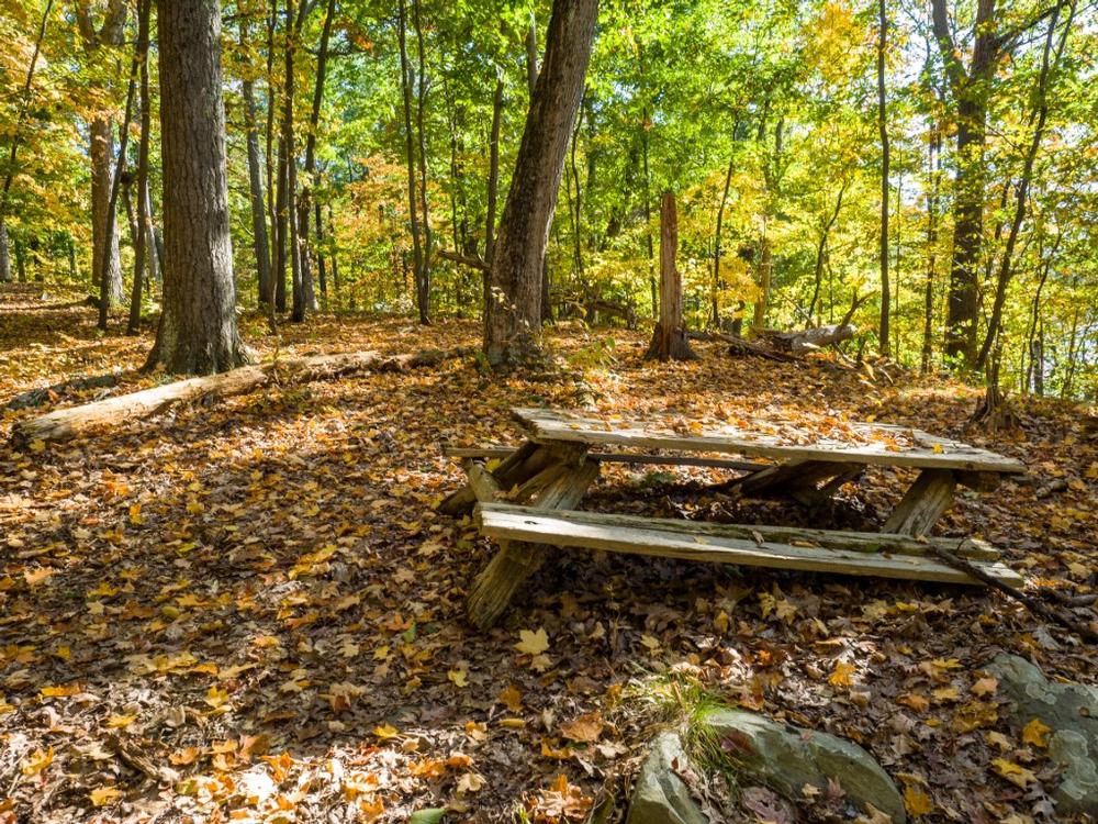 Hike on the Hyde Park Trail