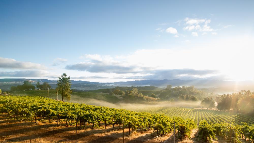 If You Love Local Stories, Dive Into Napa’s Past at the Historical Society