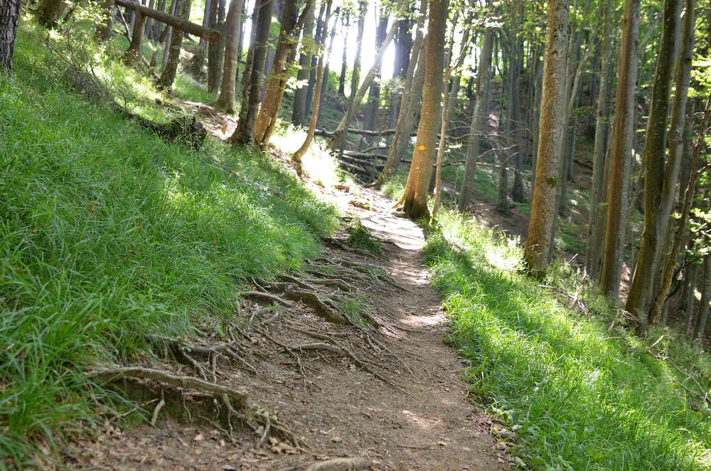 If You’re After Hidden Magic, Hike the Hobbit Trail