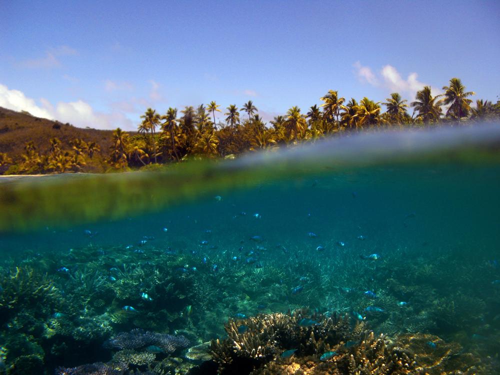 Island-Hop Through the Lau Group