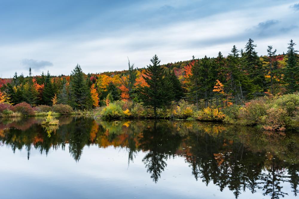 Hike on forested trails and explore conservation history at this preserved estate.