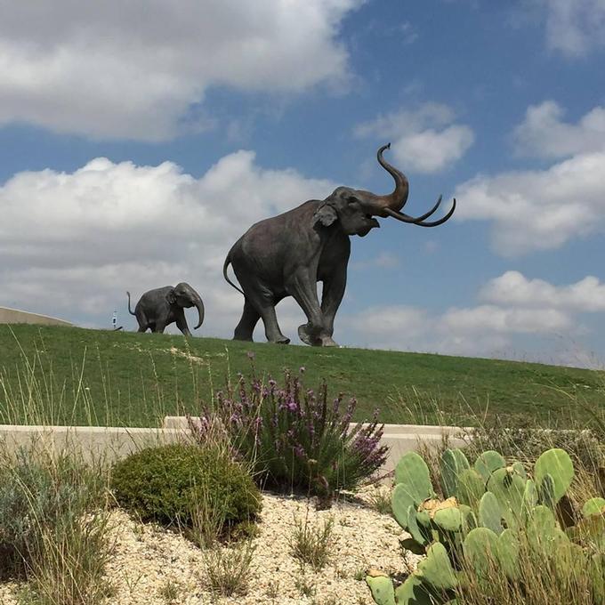 23 Best Things to Do in Lubbock, Texas