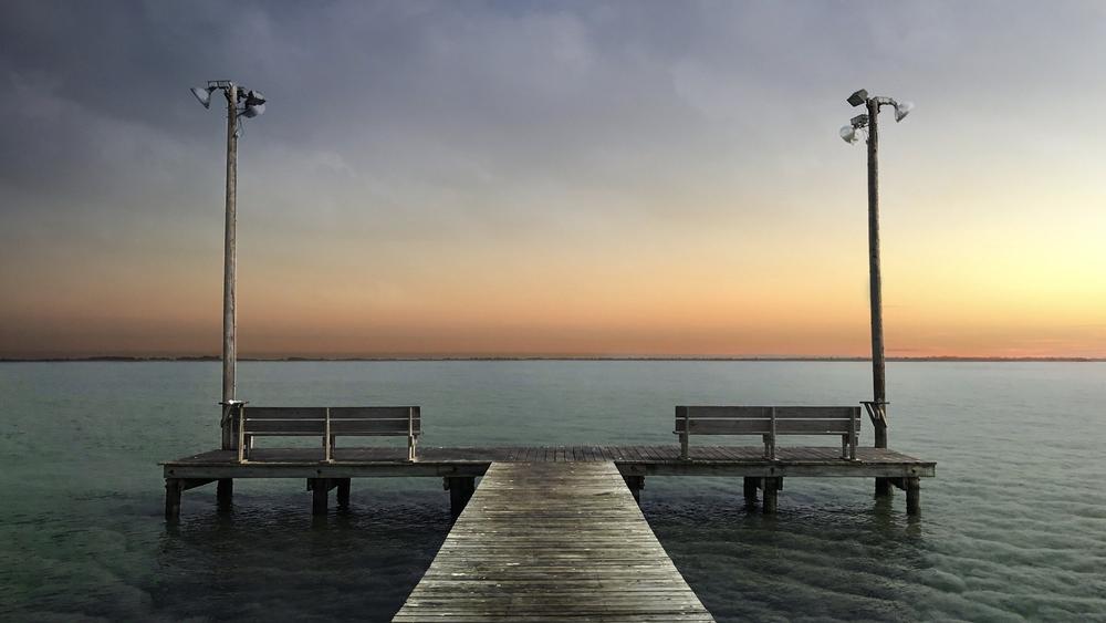Enjoy great bird watching at Matagorda Bay Nature Park