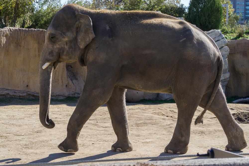 Meet Exotic Animals Up Close at Monterey Zoo