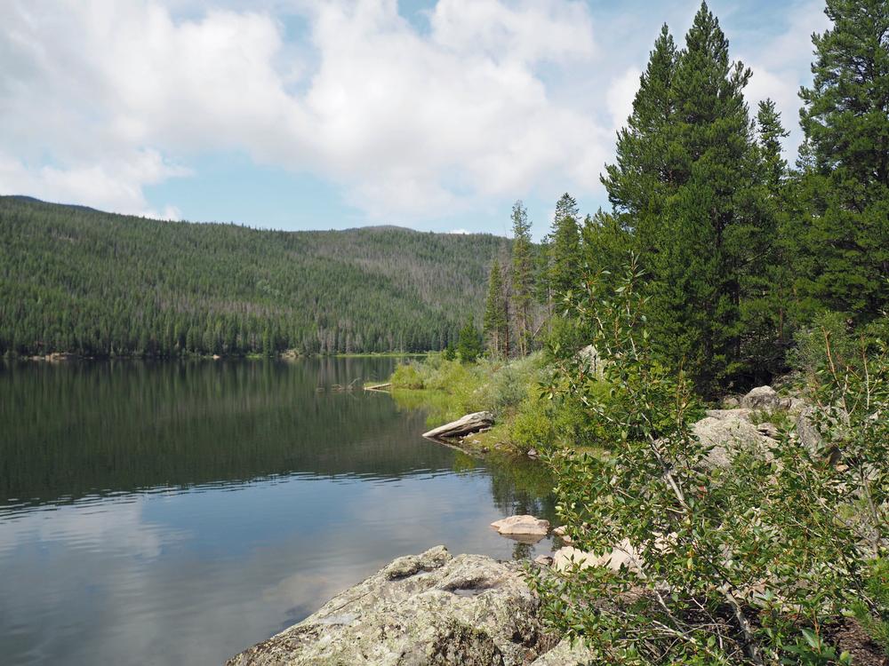 Hike, Breathe, and Recharge on Monarch Lake Loop Trail