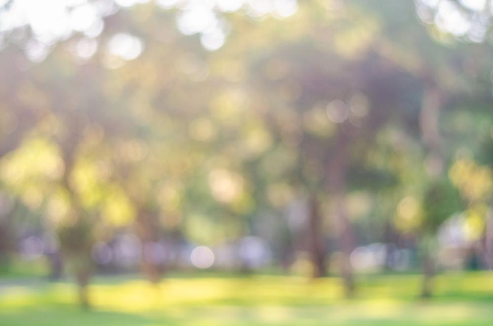 Play, Picnic, and Enjoy Open Spaces at Crescent Creek Park