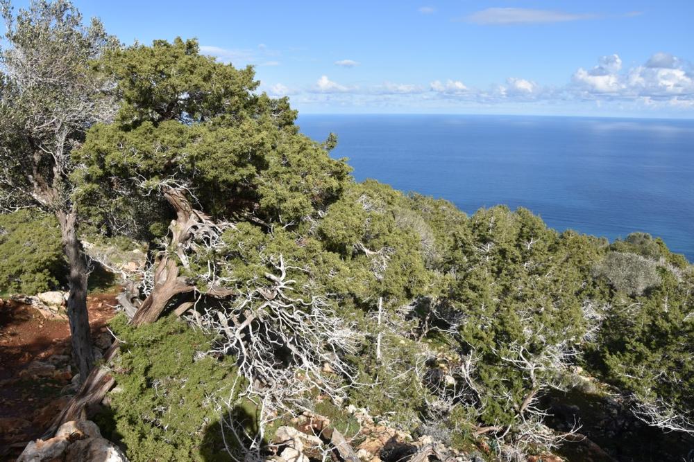 Relax by the Bay and Explore Seaside Charm in Polis Chrysochous