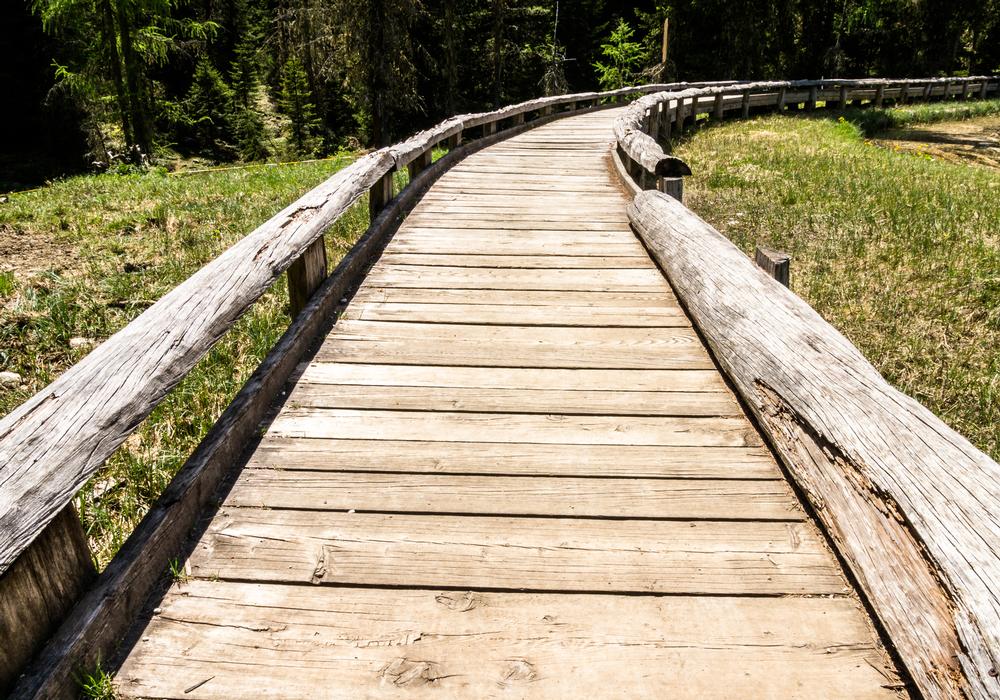 Ride Epic Mountain Biking Trails at Slaughter Pen Hollow