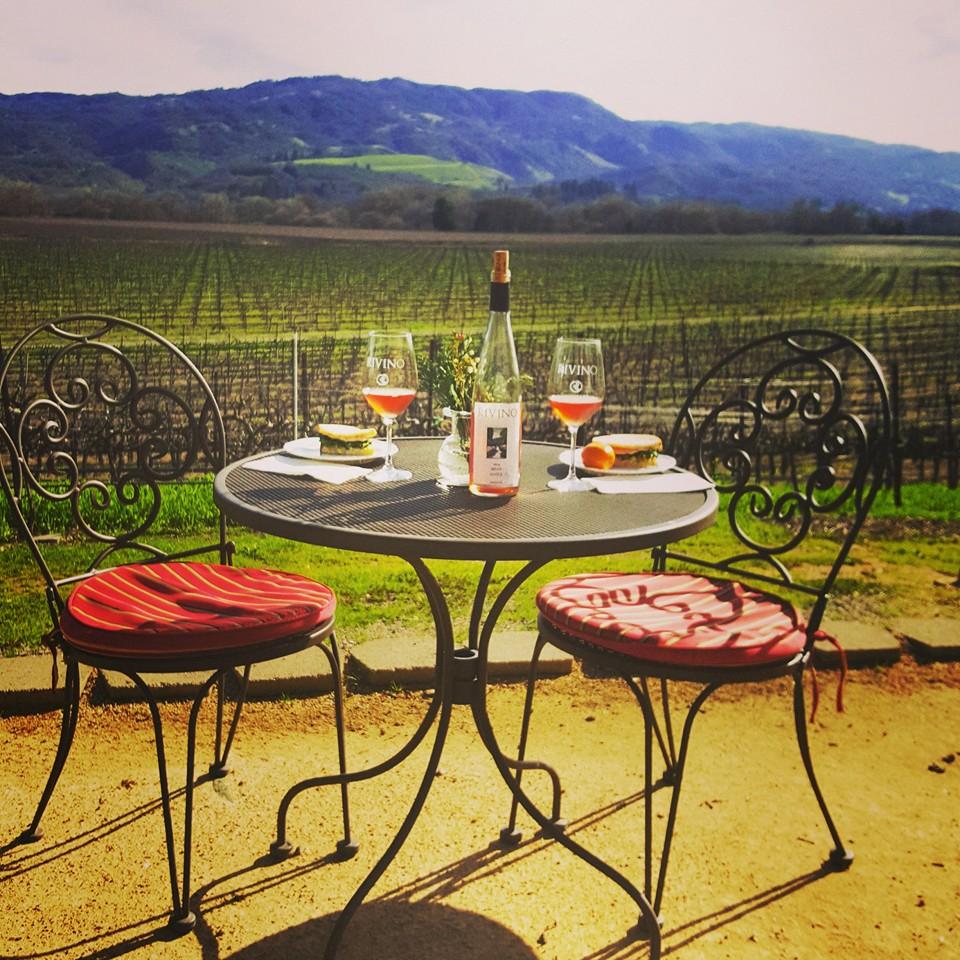 Sip Estate-Grown Wines in a Relaxed Setting at RIVINO Winery