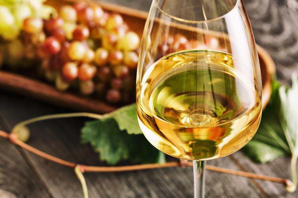Sip Wine with Stunning Views at Casa Tiene Vista Vineyard