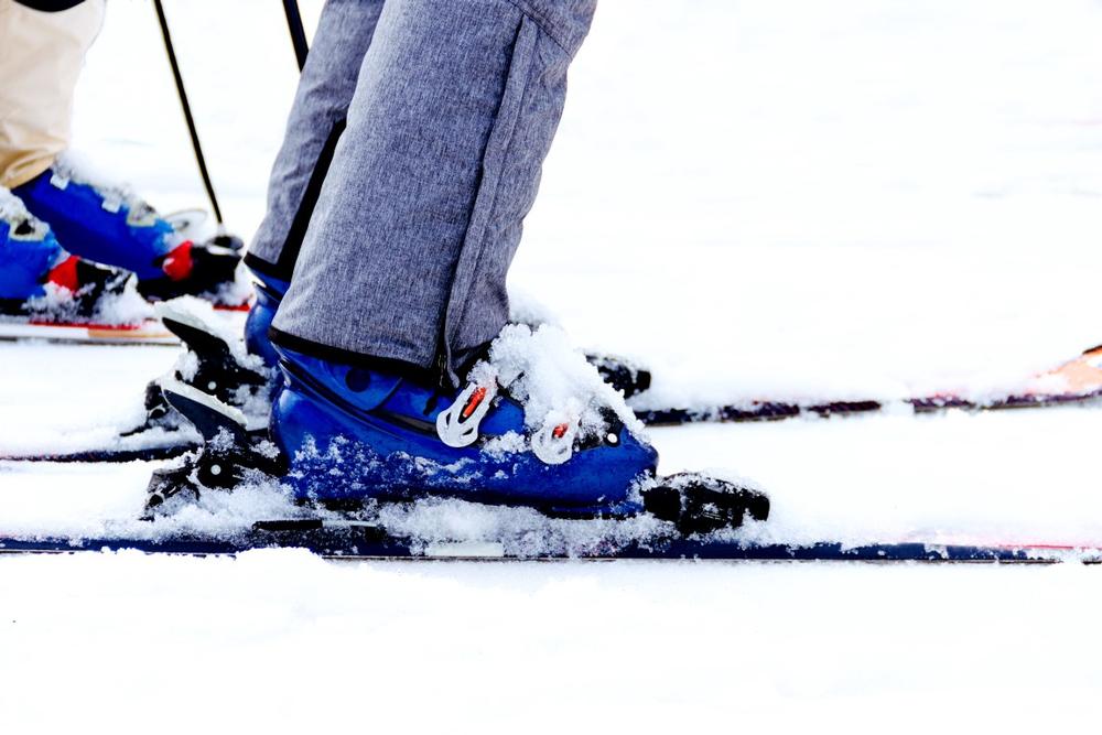 Ski or Snowshoe Scenic Paths at Wolverine Nordic Trails