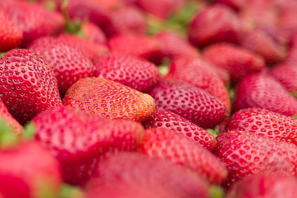 Snack, Shop, and Savor Local Flavors at Visalia Farmers Market