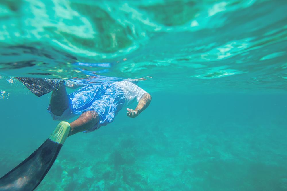 Snorkel and Sail: Swim with Rays and Reefs on a Marinarium Adventure