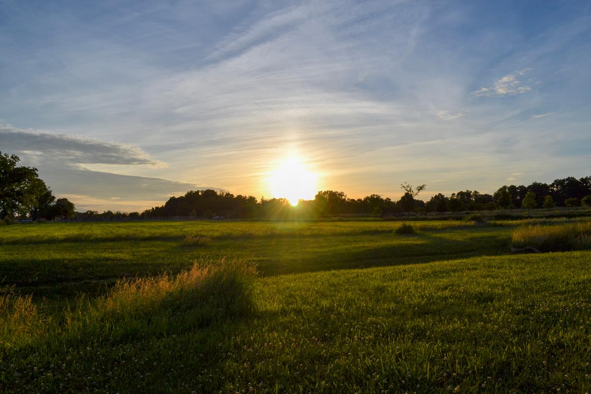 Solitude and Sky at Benjamin Rush State Park