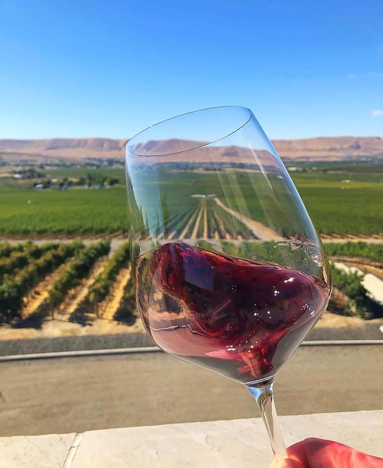 Admire vineyard views and enjoy refined tastings on a luxurious, quiet wine getaway.