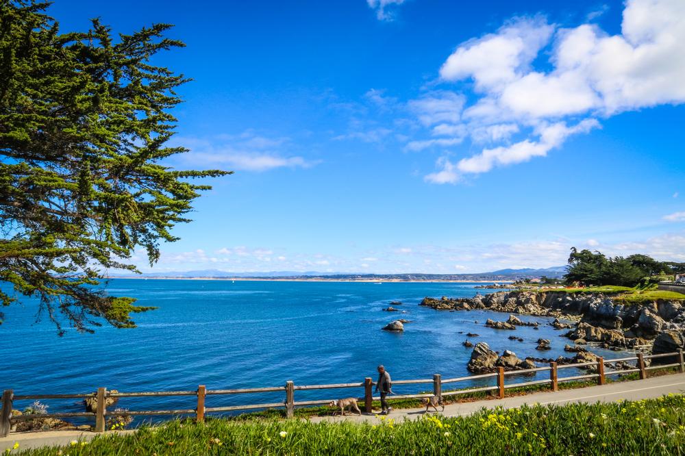 Take a Guided Tour with Big Sur Adventures
