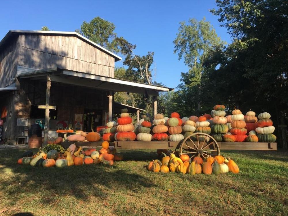 Take the kids to the Christian Way Farm & Mini Golf