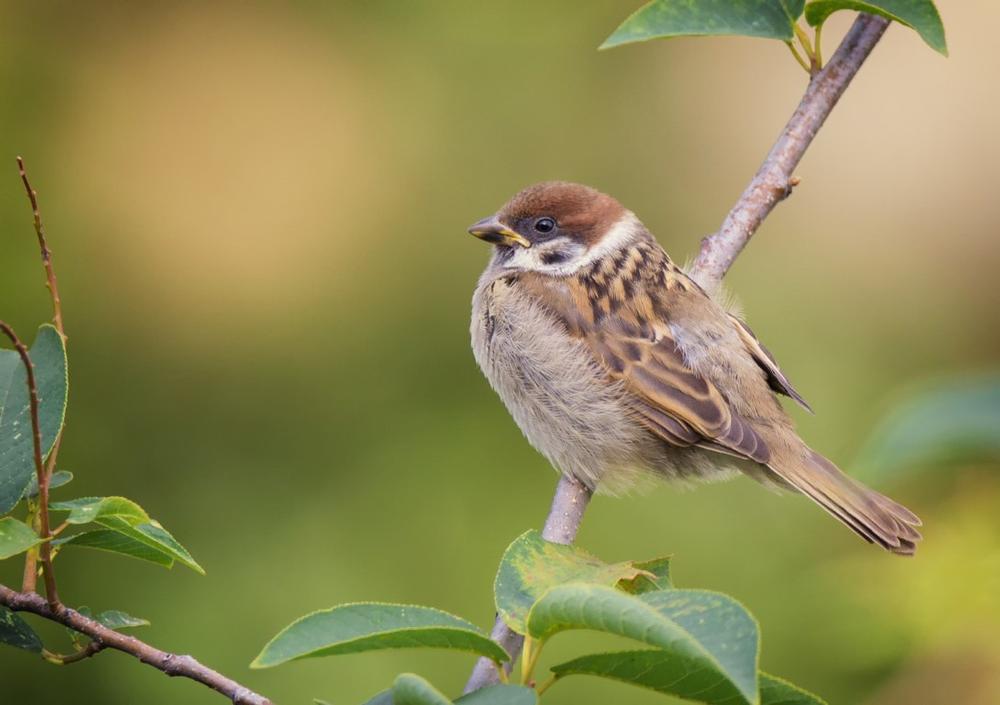 Walk wooded trails and spot wildlife on a quiet spring afternoon.