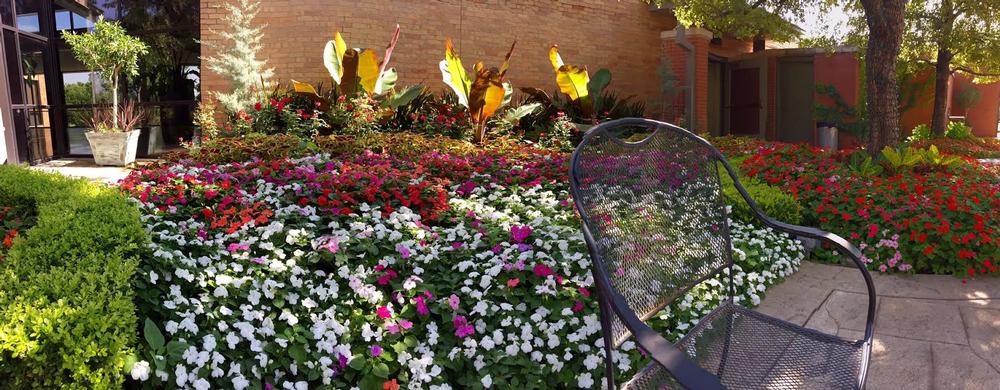 Wander Through Beauty at Amarillo Botanical Gardens