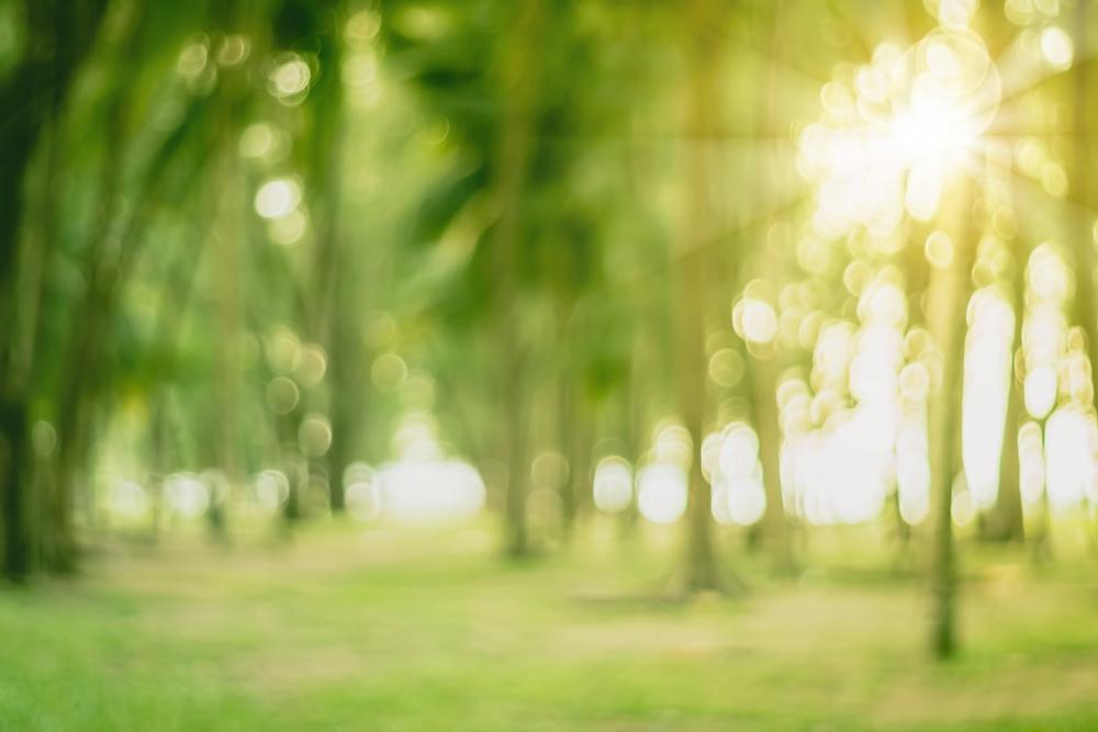 Bring kids to explore trails, wildlife, and family-friendly outdoor sights.