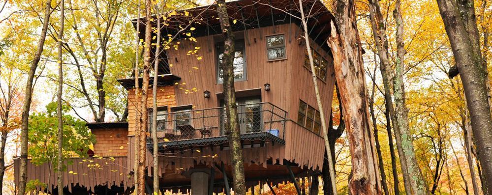 Escape to a secluded retreat, admire nature from an elevated perch.