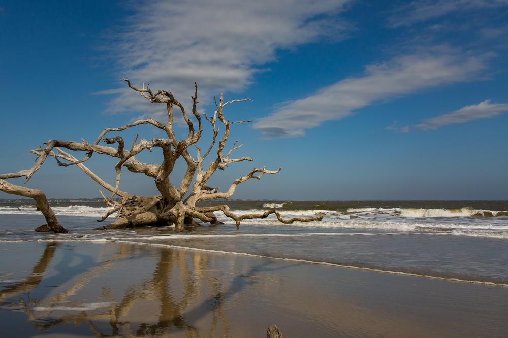 Bike, Swim, and Discover Coastal Wonders Across Jekyll Island