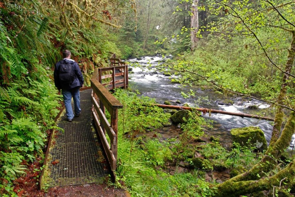 Breathe in Coastal Beauty at Siuslaw National Forest