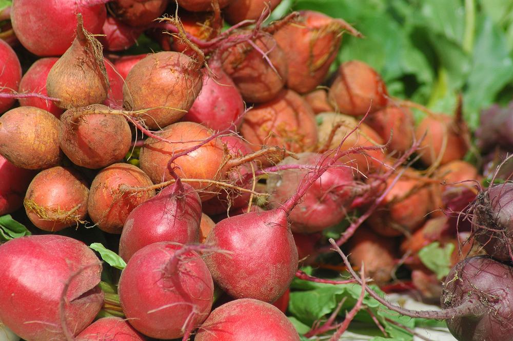 Shop Fresh and Local with Coastal Charm at Stonington Village Farmers' Market