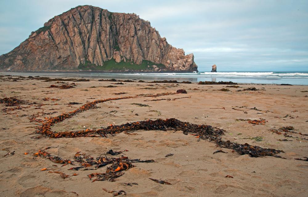 Camp, Kayak, and Explore Coastal Beauty at Morro Bay State Park