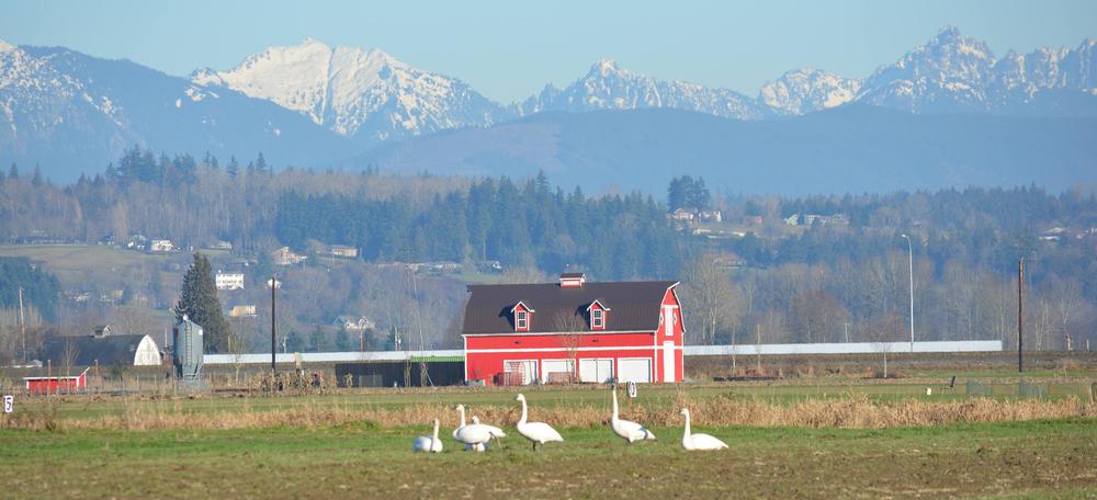 Celebrate Fall with Family Fun at Stocker Farms