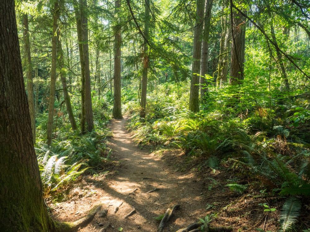 16 Best Things to Do in Issaquah, Washington