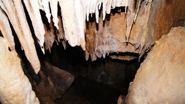 Cueva del Guacharo National Park