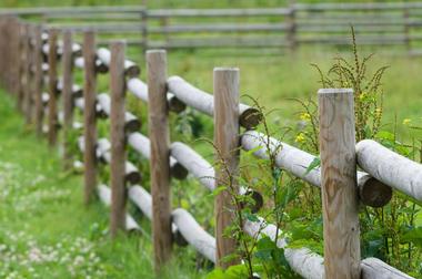 Cyrus McCormick Farm and Workshop