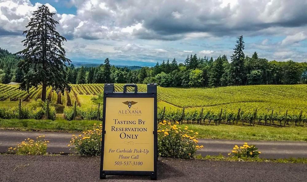 Delight in Biodynamic Wines and Stunning Architecture at Alexana Winery