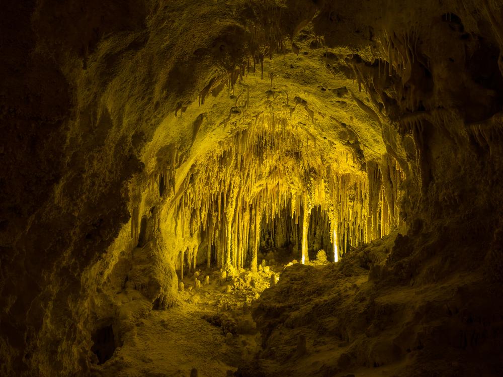 Descend Into Wonder on the Carlsbad Caverns Natural Entrance Tour