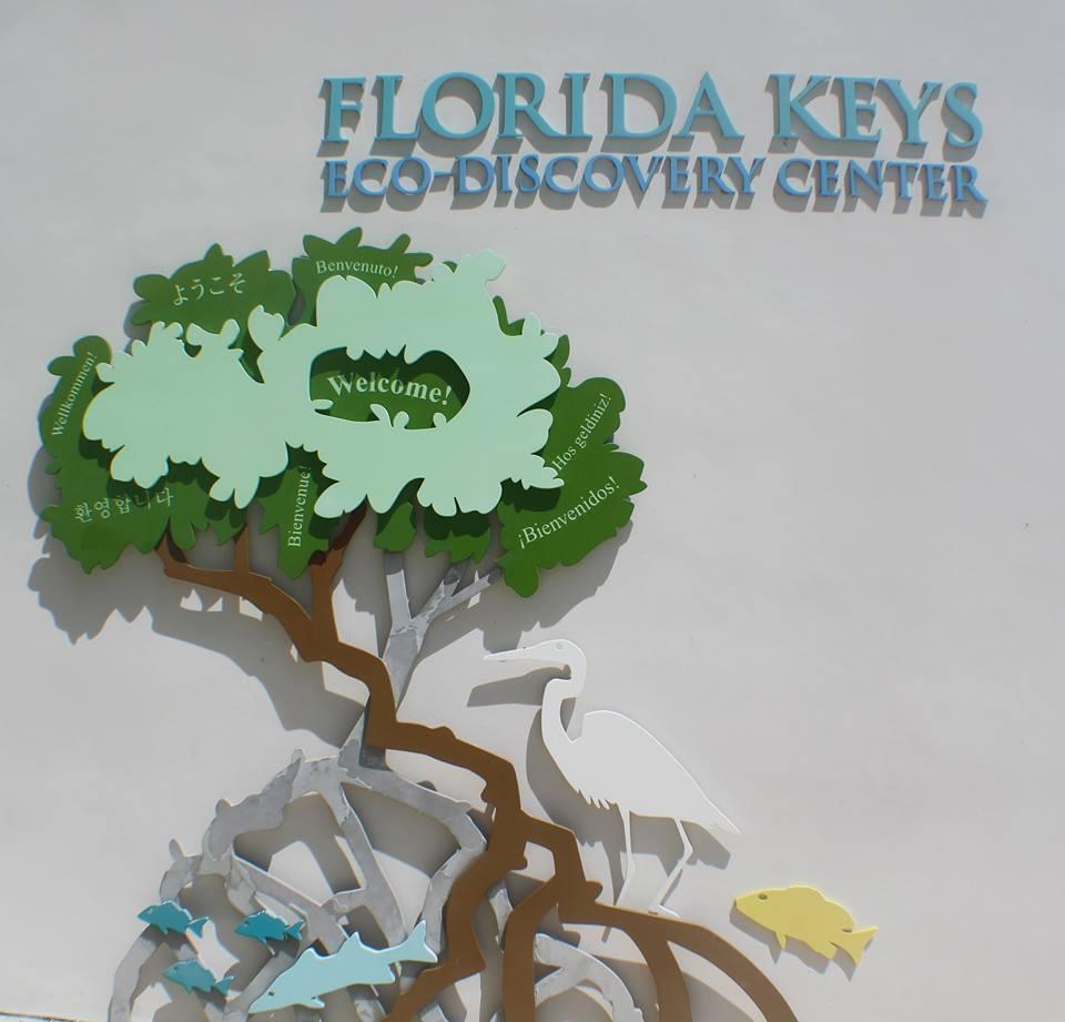 Discover Coral Reefs and Conservation Wonders at the Florida Keys Eco Discovery Center