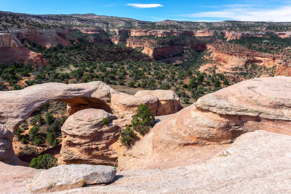 https://stock.adobe.com/gr_en/images/cedar-tree-arch-at-rattlesnake-canyon-in-mcinnis-canyons-national-conservation-area-colorado-state-usa/214727211